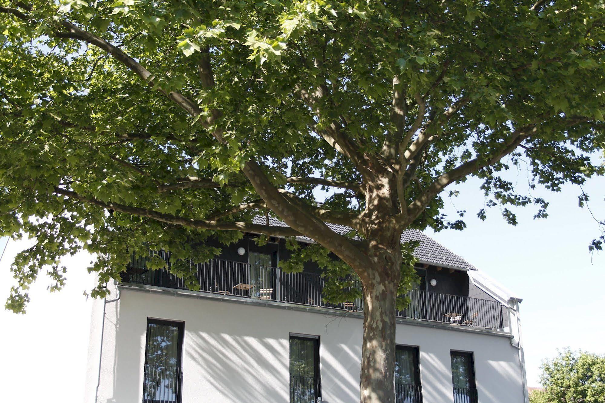 Prime 20 Serviced Apartments Frankfurt pe Main Exterior foto